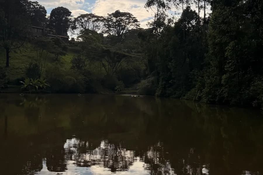Green's Green Retreat